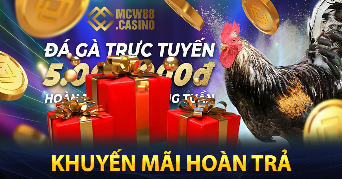 Ưu đãi hoàn trả cho tất cả thành viên tại nhà cái