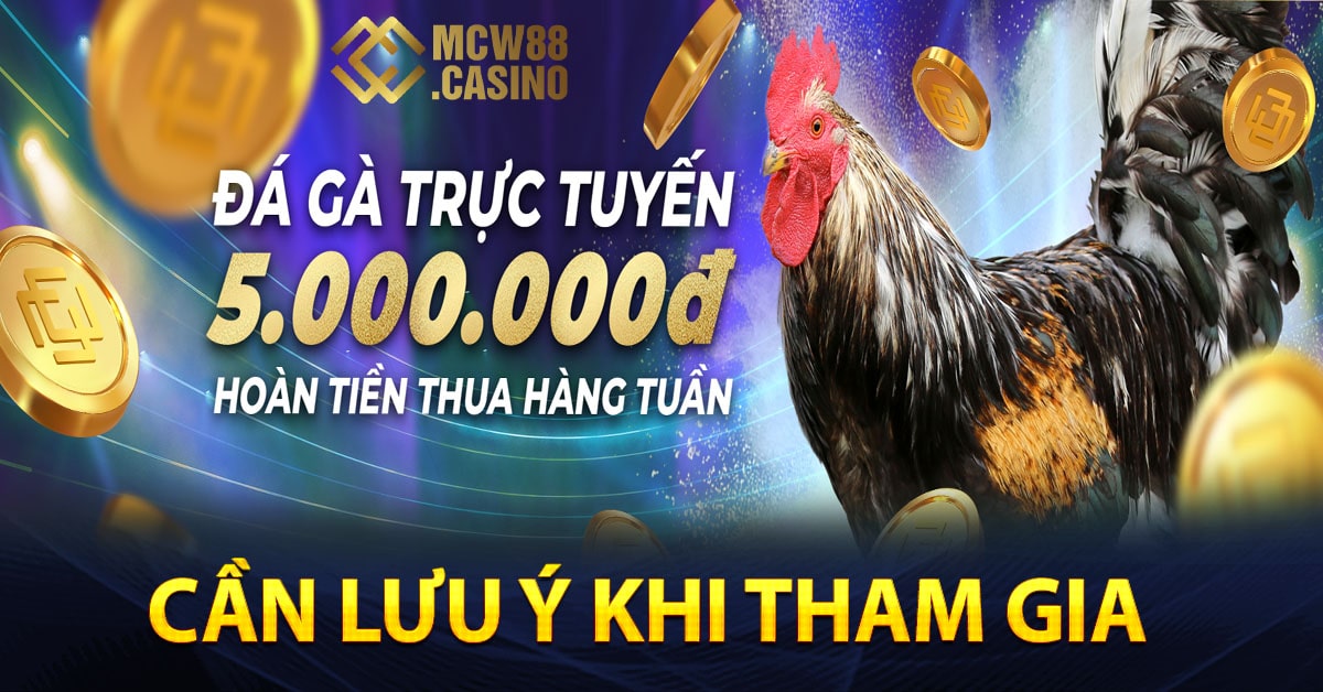 Cần lưu ý khi tham gia đá gà Mcw