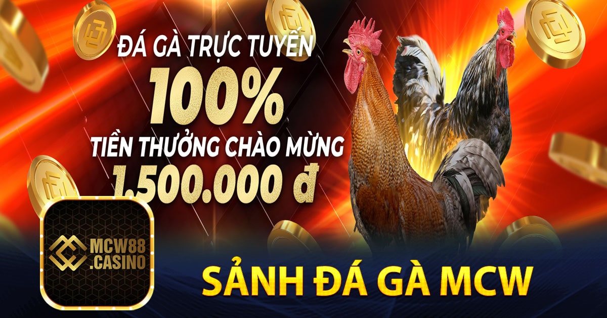 Một số sảnh đá gà Mcw