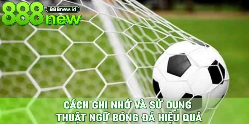 Cách ghi nhớ và sử dụng thuật ngữ bóng đá hiệu quả