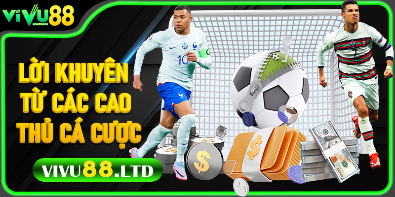 Lời Khuyên Từ Các Cao Thủ Cá Cược