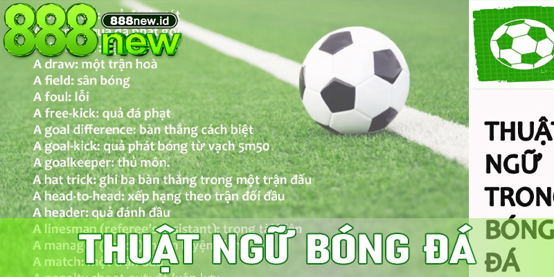 Hiểu đúng thuật ngữ bóng đá để thưởng thức trọn vẹn từng trận đấu tại 888new