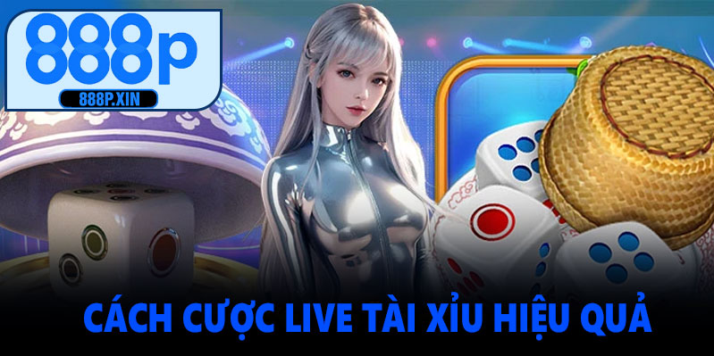 Cách cược Live Tài Xỉu với tỷ lệ thắng cao