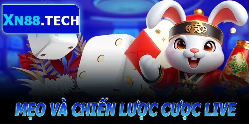 Mẹo và chiến lược khi chơi live tài xỉu XN88