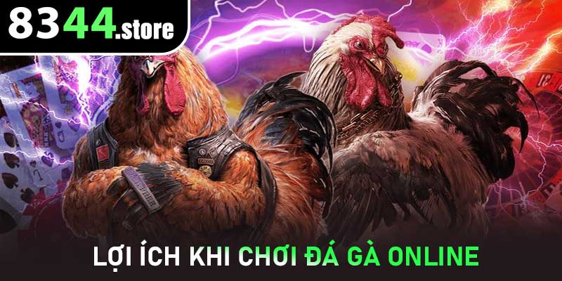 Lợi ích khi chơi Đá Gà Online