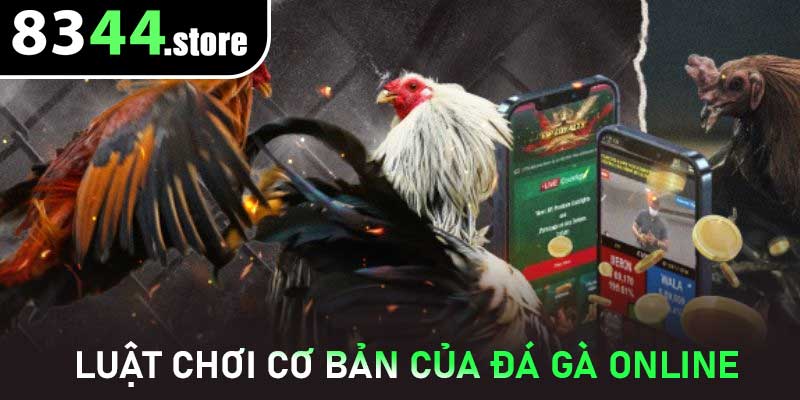 Luật chơi cơ bản của Đá Gà Online